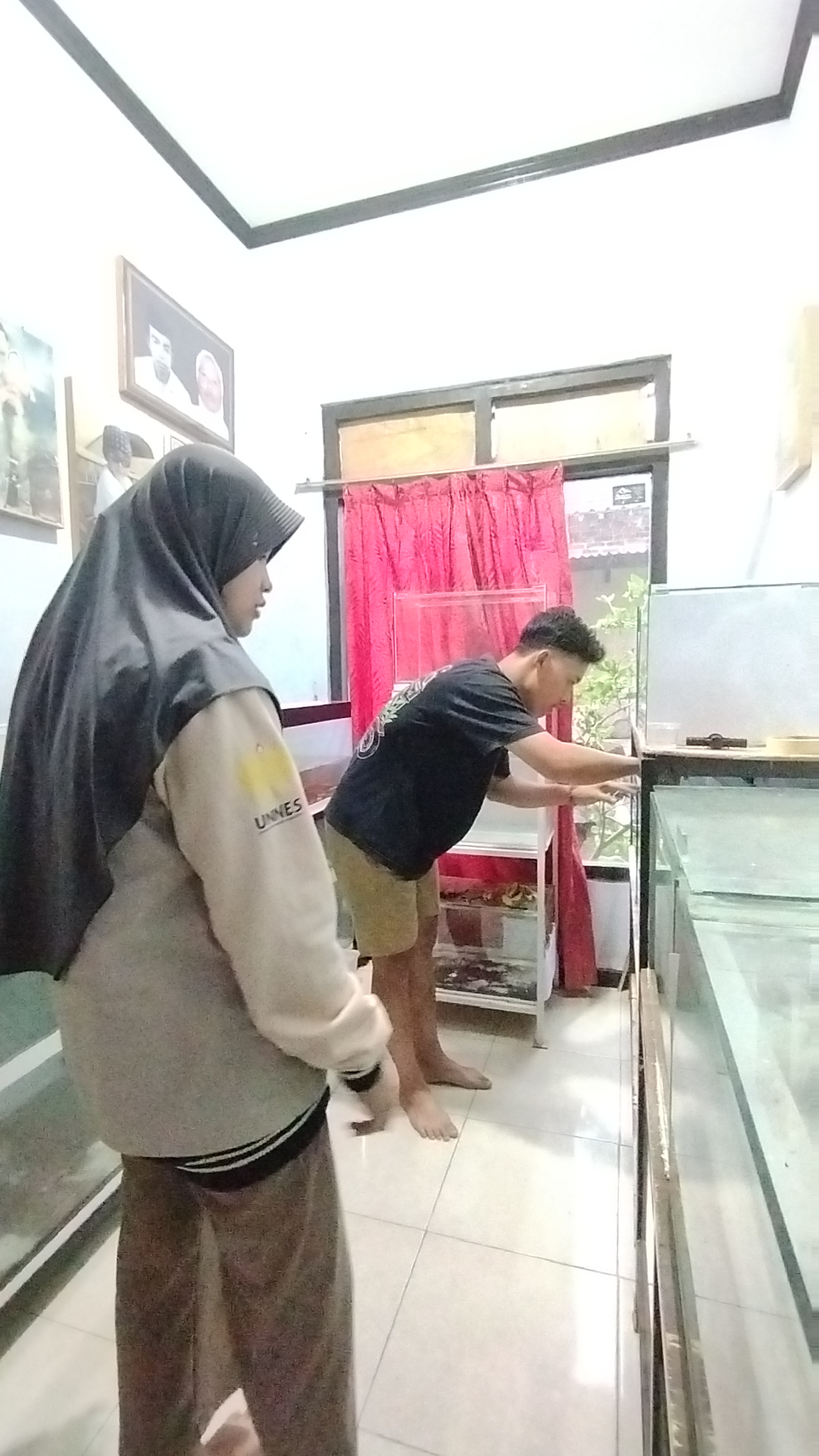 Gambar Berita