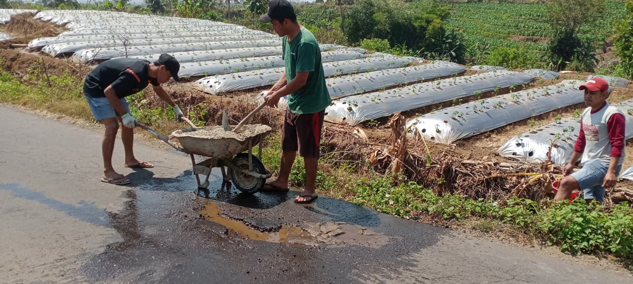 Gambar Berita